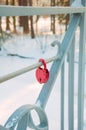 Metal lock symbol of love in the form of a red heart, valentine Royalty Free Stock Photo