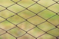 Metal mesh with traces of corrosion close-up on a natural background. Abstract background with repeating elements Royalty Free Stock Photo