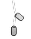 Metal military ID tags on white Royalty Free Stock Photo