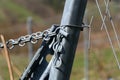 Metal mount vines in vineyards in Germany