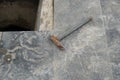 A metal nail on the floor in a construction site for fixed the drain Royalty Free Stock Photo
