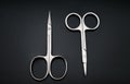 Metal nail scissors on a black background close up Royalty Free Stock Photo