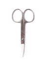 Metal nail scissors isolated Royalty Free Stock Photo