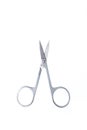 Metal nail scissors Royalty Free Stock Photo