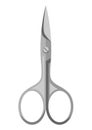Metal nail scissors. Professional manicure and pedicure tool. Royalty Free Stock Photo