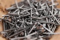 Metal nails. Carpentry industrial instrument and tools