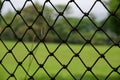 Metal net fence. Royalty Free Stock Photo