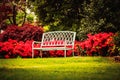 Metal outdoor bench sits on green lawn with azeleas and trees behind - shallow focus on bench - Room for copy