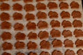 Metal pan with lots of gingerbread baked cookies in the shape of a rabbit