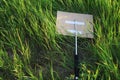 Metal periscope baton of protest activists thrown in bushes or tall grass
