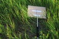 Metal periscope baton of protest activists thrown in bushes or tall grass Royalty Free Stock Photo