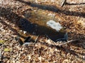 Metal pipes and water and leaves and bubbles Royalty Free Stock Photo