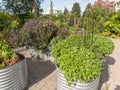 Metal Planters in public garden