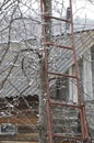 Metal portable ladder attached to the tree against background of the facade of old house on a snowy gloomy day. Royalty Free Stock Photo