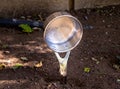 A metal pot planted in the ground