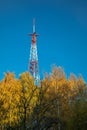 A metal radio tower towers over the autumn yellow trees. Blue sky. Autumn landscape. Royalty Free Stock Photo