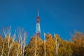 A metal radio tower towers over the autumn yellow trees. Blue sky. Autumn landscape. Royalty Free Stock Photo