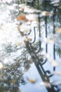 metal railings on the city lake reflected in the water, on the water floats fallen from the trees autumn leaves Royalty Free Stock Photo