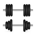 Metal realistic dumbbell isolated on white. Vector