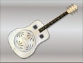 Metal Resonator Guitar