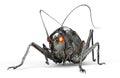 metal robot insect isolated on white with clipping path, 3D illustration