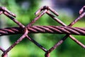 Metal rope and mesh fence Royalty Free Stock Photo