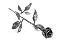 Metal rose Royalty Free Stock Photo