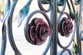 Metal roses decorating forged collars, gate craft element