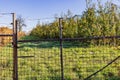 Metal rusty gate with barbed wire in a farm, closed with a chain and padlock, green grass and trees Royalty Free Stock Photo