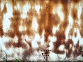 Metal rusty surface with grass at the bottom. Background texture Royalty Free Stock Photo