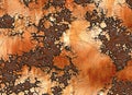 Metal rusty texture. painted backgrounds Royalty Free Stock Photo