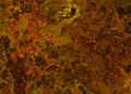 Metal rusty texture. painted backgrounds Royalty Free Stock Photo