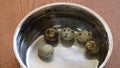 Stainless steel sauce pot full of clear water with five raw quail eggs ready to cook boiling