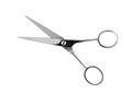 Metal scissors Royalty Free Stock Photo