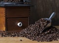 Metal Scoop Coffee Beans Royalty Free Stock Photo