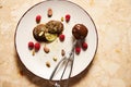 Metal scoop filled with dairy free chocolate sorbet, and frozen chocolate balls on white plate against marble background Royalty Free Stock Photo