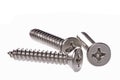 Metal Screws Macro Royalty Free Stock Photo