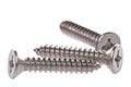 Metal Screws Macro Royalty Free Stock Photo