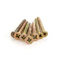 Metal screws Royalty Free Stock Photo