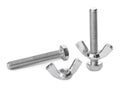 Metal screws with wing nuts isolated on white Royalty Free Stock Photo