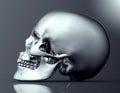 Metal scull isolated on dark background with clipping path