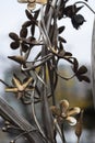 Metal sculpture / public art: Close up detail of a wrought iron flowers in a sculpted gate. 3