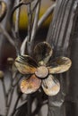 Metal sculpture / public art: Close up detail of a wrought iron flowers in a sculpted gate. 9