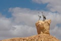 Metal sculptures of birds near Sde Boker in the Negev Desert in Israel Royalty Free Stock Photo