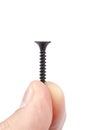 Metal self-tapping in the hand, on white background.
