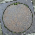 Metal sewer cover. Superb grass plants and moss grown between cement and iron. Royalty Free Stock Photo