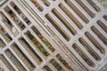 Metal sewer grate from above Royalty Free Stock Photo