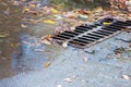 Metal sewer grate on asphalt road with fallen autumnal leaves in Royalty Free Stock Photo