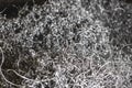 Metal shavings. Background. Waste after metal processing on a lathe Royalty Free Stock Photo