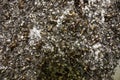 Metal shavings in metallurgy close up. selective focus, top view